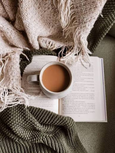 Cozy Reader Collection